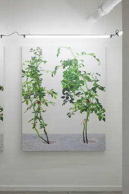20150226 Alex Fischer 1 7 and 6000 O'Born Contemporary 44 VII 冯声贵 Feng Shui Gui documentation.jpg